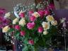dsc015881.jpg