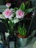 dsc01994.JPG