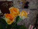 dsc02803.JPG
