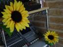 dsc02811.JPG