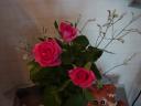 dsc02869.JPG