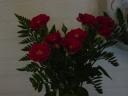 dsc02886.JPG