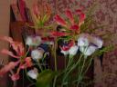 dsc02900.JPG