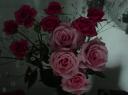 dsc03670.JPG