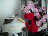 dsc03722.JPG