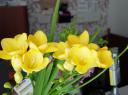 dsc03749.JPG