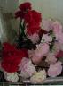dsc03792.JPG