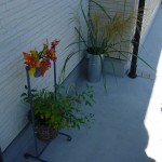 DSC00075